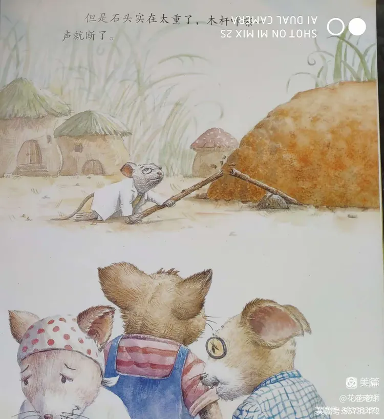 绘本故事:大石头